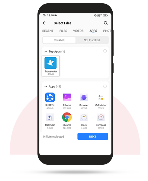 Browser